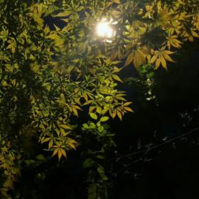分享图片