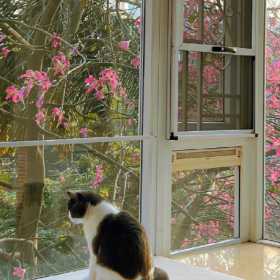 照顾好自己，你好，我