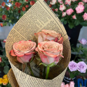 照顾好自己，你好，我