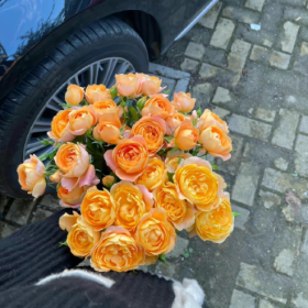 哪有生活不如意,只有