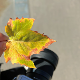 哪有生活不如意,只有