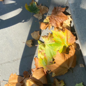 哪有生活不如意,只有