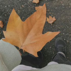 我不懂为什么这个世界