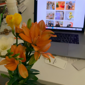 我不懂为什么这个世界