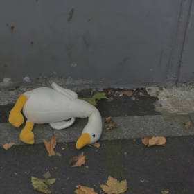 我不懂为什么这个世界