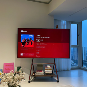 往后余生,愿我无坚不