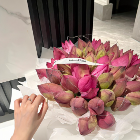 往后余生,愿我无坚不