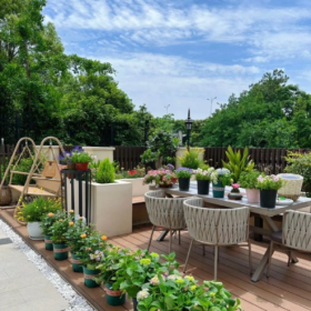 这个夏天总要和好朋友