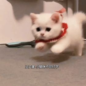 把快乐放进罐头里 延