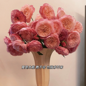 把快乐放进罐头里 延