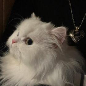 “ 奔赴