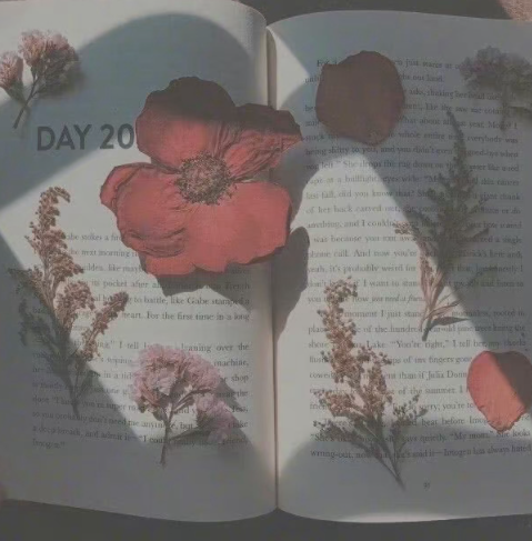 让人看了落泪的文案