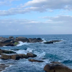 一起吹夏日的海风 ◂