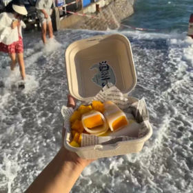 一起吹夏日的海风 ◂