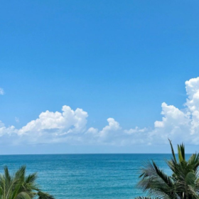 一起吹夏日的海风 ◂