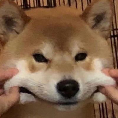 椅子样子