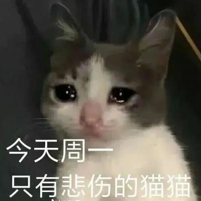 悲伤猫猫