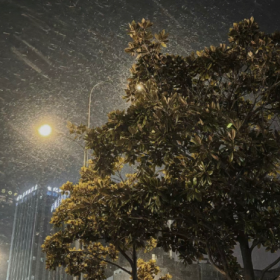 说实话我根本不在乎生