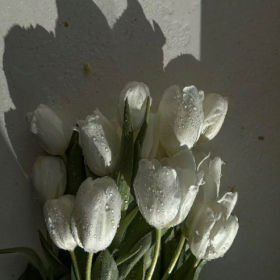 说实话我根本不在乎生