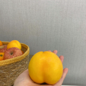 “自静 