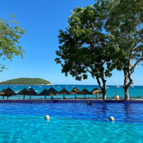 别问多远多少钱,问问