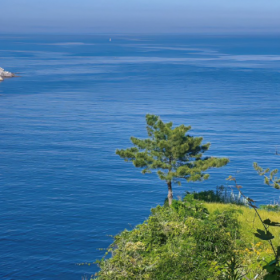 别问多远多少钱,问问