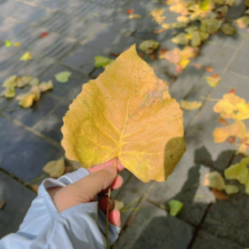 分享图片