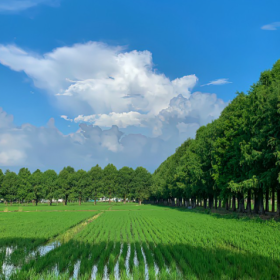 农村的风景,平淡但耐