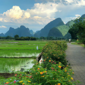 农村的风景,平淡但耐