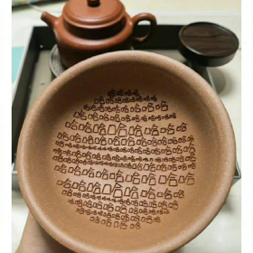 1000年后科学家陷