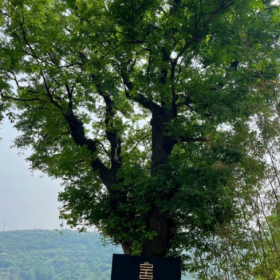 “不好的