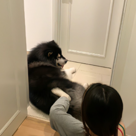 日子一般般,快乐很简