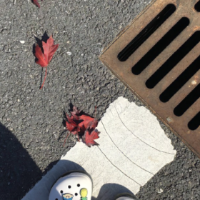 道理的尽头是大道至简