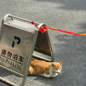 道理的尽头是大道至简