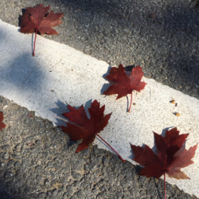 道理的尽头是大道至简