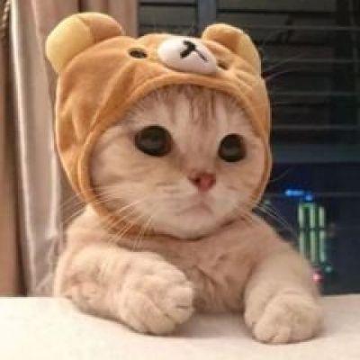 灿烂宝宝