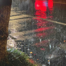 雨是神的烟花 ​