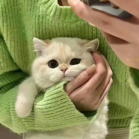 突如其来的脾气大概是