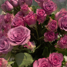 当你有一肚子话想找个