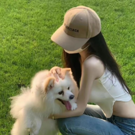 他们都是我的山伐木 