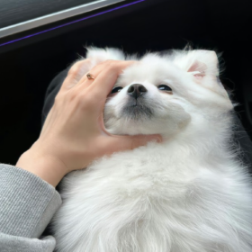 如果不能让父母骄傲的