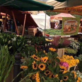 人的内心不种鲜花就长