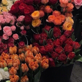 人的内心不种鲜花就长