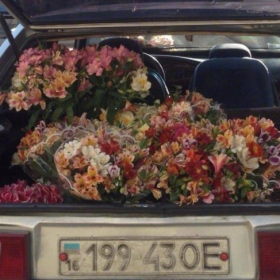 人的内心不种鲜花就长