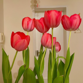 不图事事圆满,但愿事