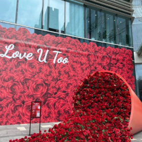 情人节快到了，明天朋