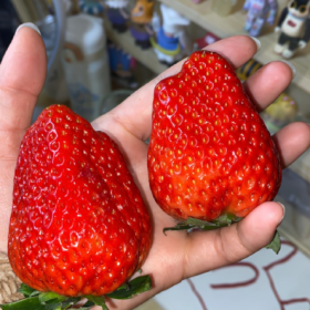 我突然明白,人都是会