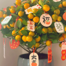 “不说恭