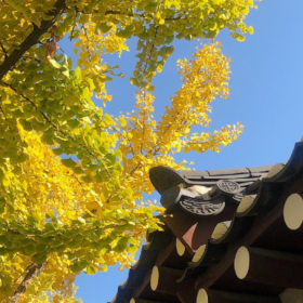 夏天还没整明白,秋天
