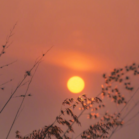 若你决定灿烂，山无遮